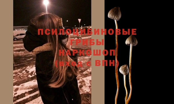 бошки Няндома