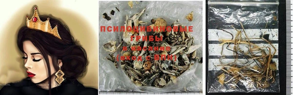 ешки Абдулино