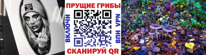 Галлюциногенные грибы Psilocybe  цена   hydra ссылка  Новое Девяткино 